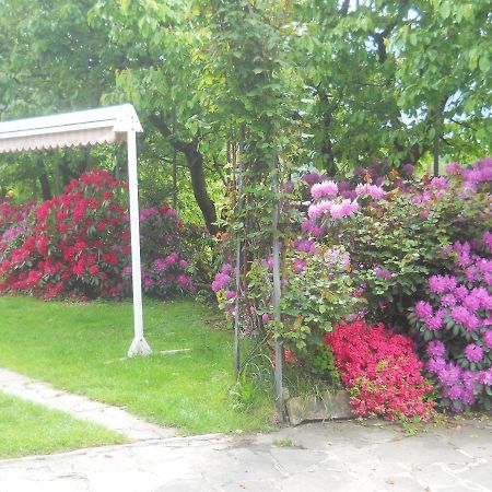 Albergo Negritella Borgo Valsugana Esterno foto