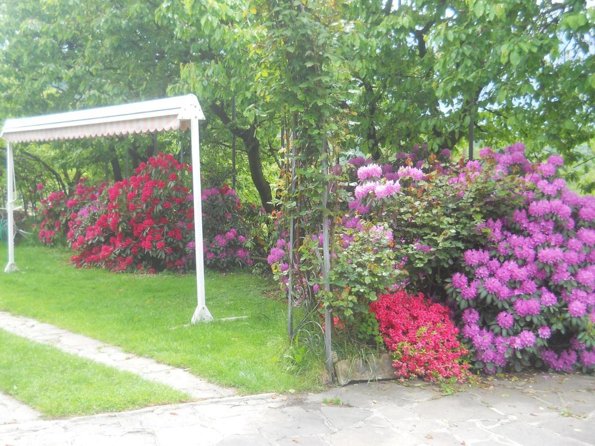 Albergo Negritella Borgo Valsugana Esterno foto